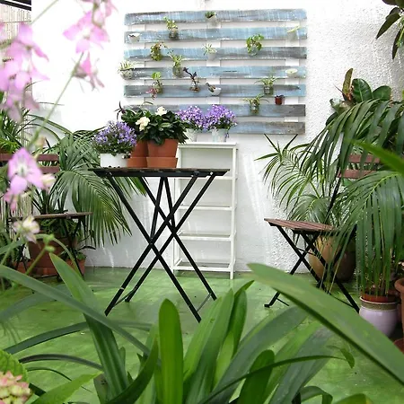 Calypso Punta Umbría