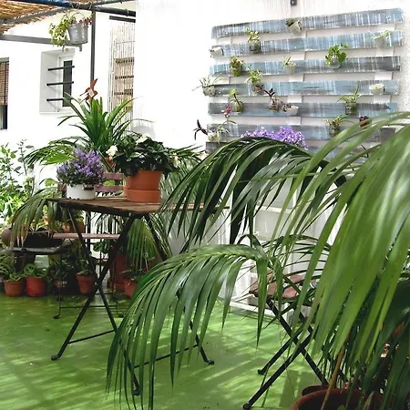 Calypso Punta Umbría
