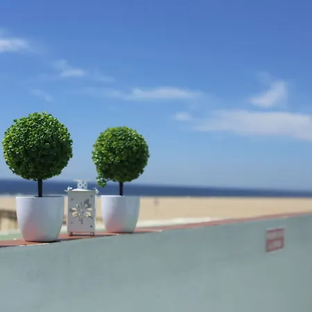 Apartmán Calypso *